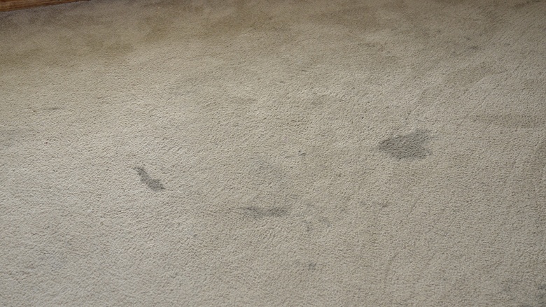 how-to-get-foundation-out-of-carpet-5-top-tips-cleanipedia-uk